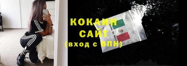 мяу мяу мука Абаза