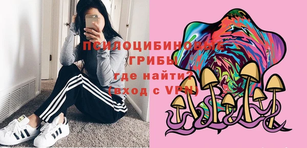 твердый Алексеевка