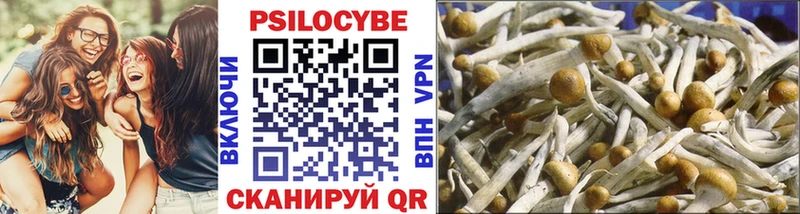 наркота Тотьма Псилоцибиновые грибы Cubensis